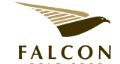 Falcon Gold Corp CVE:FG