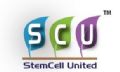 Stemcell United Ltd ASX SCU
