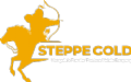 Steppe Gold Ltd